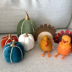 Thanksgiving Autumn Fall Decor Pumpkin Turkey